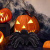 Artificial Halloween Day Decoration Simulated Black Spider Model Realistic Educational Learning Toys Gifts Decoration Maison