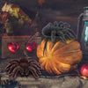 Artificial Halloween Day Decoration Simulated Black Spider Model Realistic Educational Learning Toys Gifts Decoration Maison