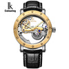 Image of Gold Hollow Automatic Mechanical Watch - jomfeshop