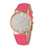 Fashion Women's Quartz Watch