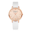 LVPAI Watches Women Quartz Wristwatch Clock Ladies Dress Gift Watches - jomfeshop